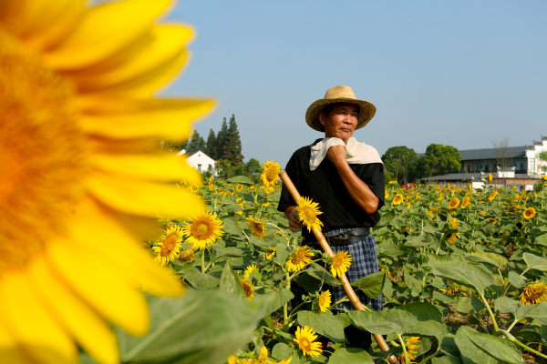 勤勞的農(nóng)民象花朵（金瑩然）.jpg