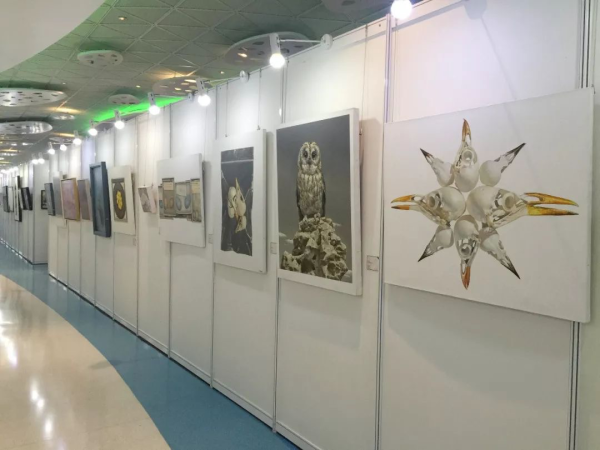 2017全国大学生艺术年度大展12月19日盛装回归