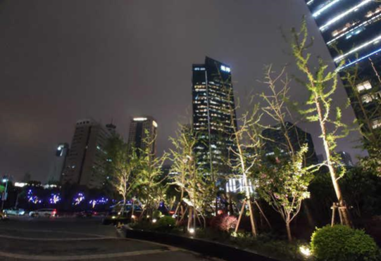 如何用手机拍出好看的夜景照片 455336049-1555556086128003551.png