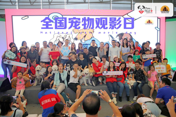 图片13.png
