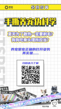 图片6.png