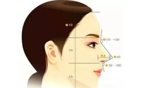 什么样的鼻型才好看？——北京沃尔整形医院刘彦军